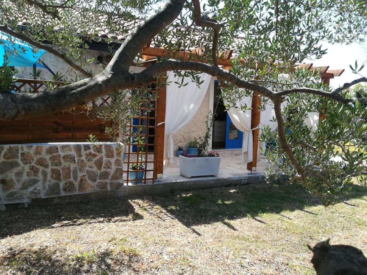 Country house Tiny House Sukosan