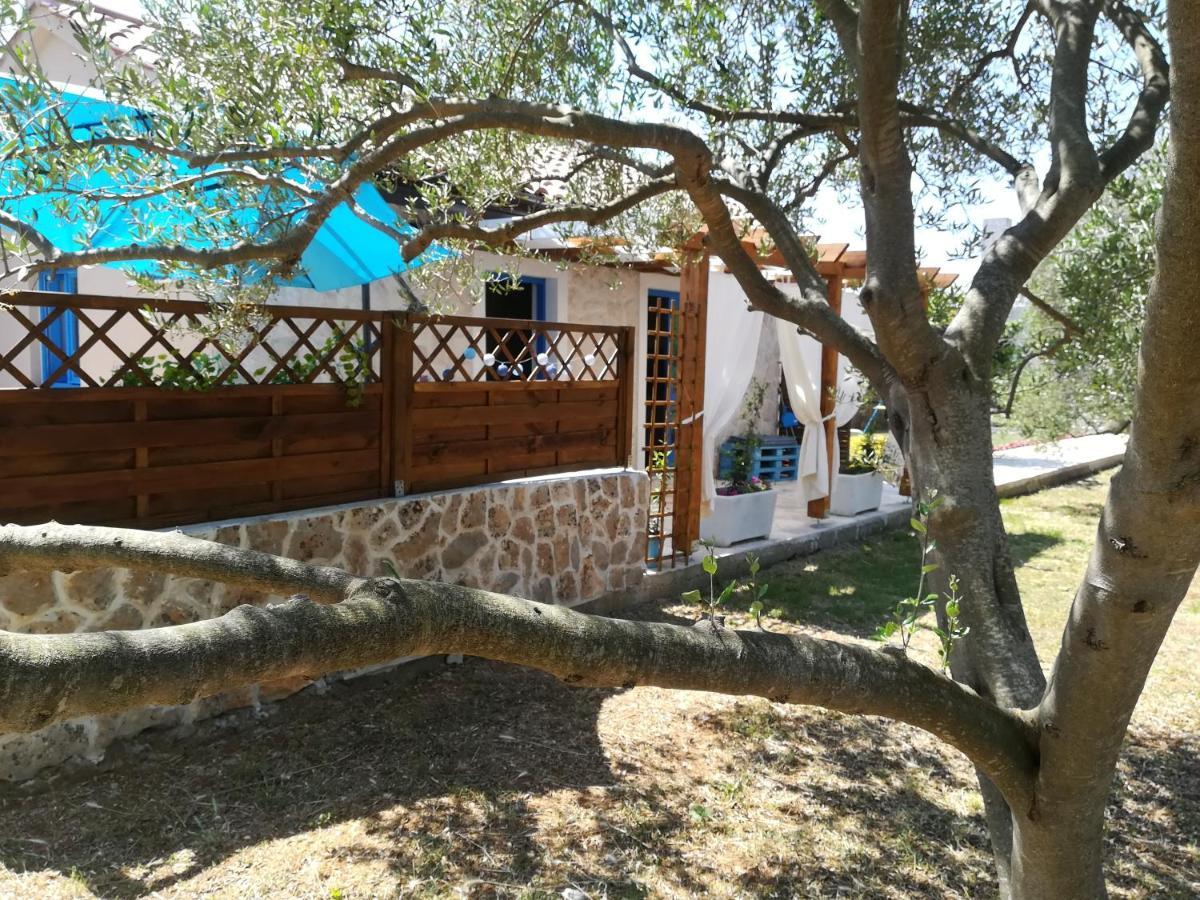 Country house Tiny House Sukosan